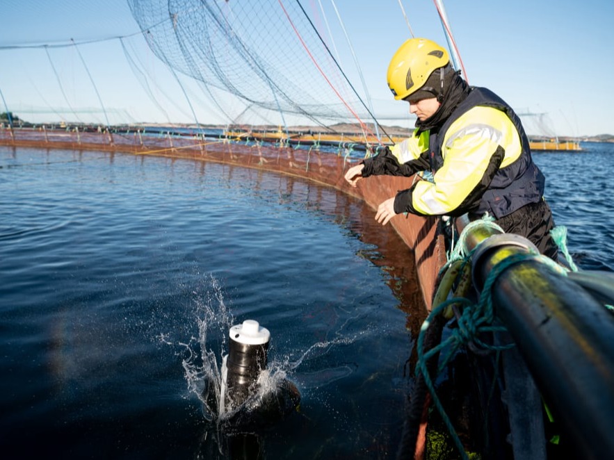 Deploy SeaSmart drone