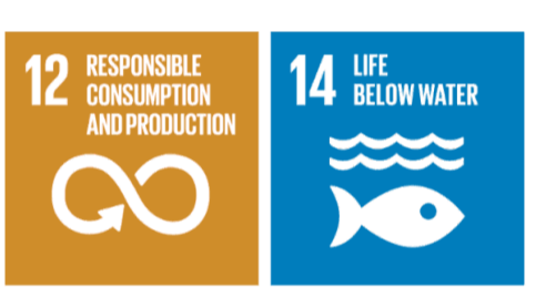 UN sustainability goals